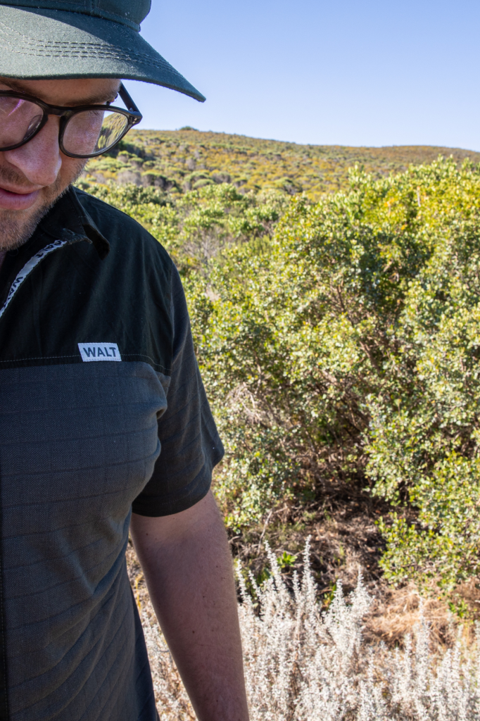 2 tone short sleeve walt Shirt